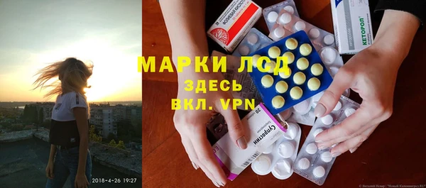 индика Армянск