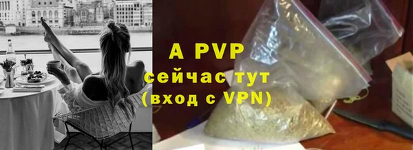 индика Армянск