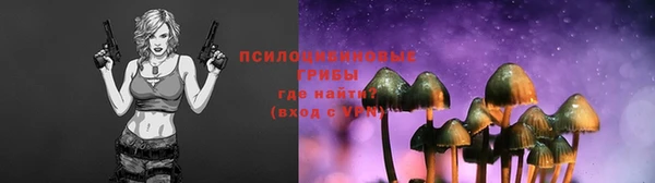 стаф Ельня