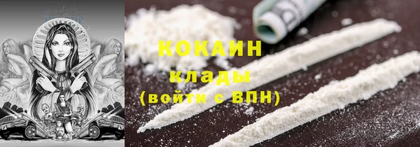 стаф Арсеньев