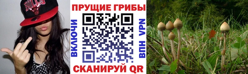 Псилоцибиновые грибы мухоморы  Новороссийск 
